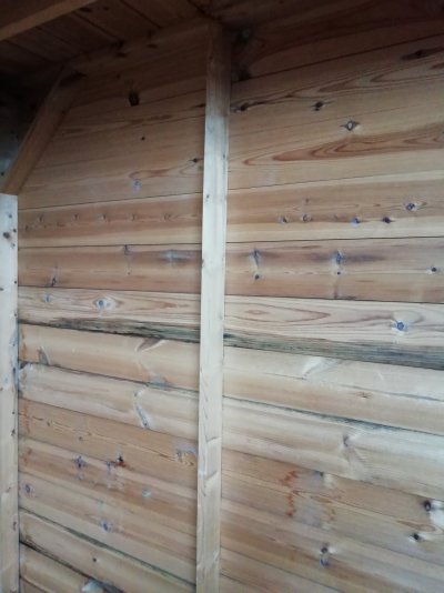 Aanvankelijk Economisch gunstig vraagje ivm plaatsen isolatie tuinhuis | Woodworking.nl