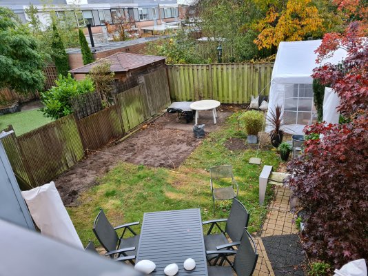 backyard-10-2.jpg