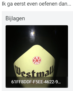 1608454075377.png