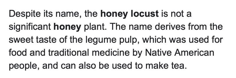 Honey Locust name.jpg