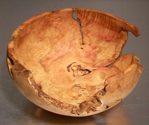 Manitoba Maple color later.jpeg Manitoba Maple color later.jpeg